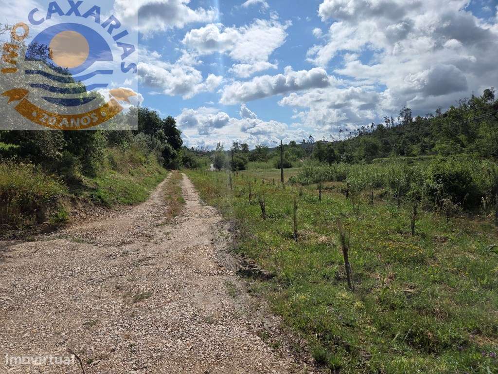 Quintinha de 1.800m² com Casa de Apoio Equipada e Água de Poço-5