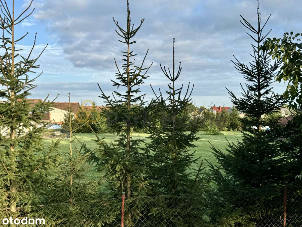 | Atrakcyjna działka pod budowę domu | - Pełny obrazek: 5/7