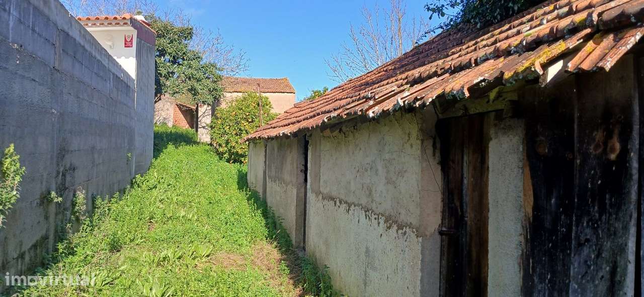 Quinta para restaurar na freguesia de Chãos-33