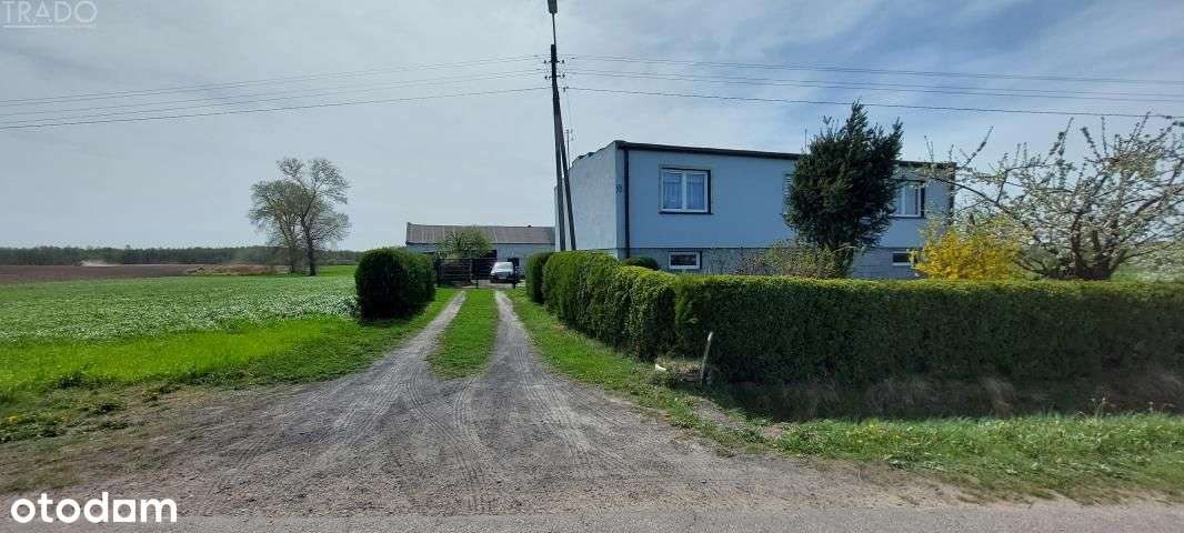 Gospodarstwo 5,72 ha Góraj gm. Babiak-3