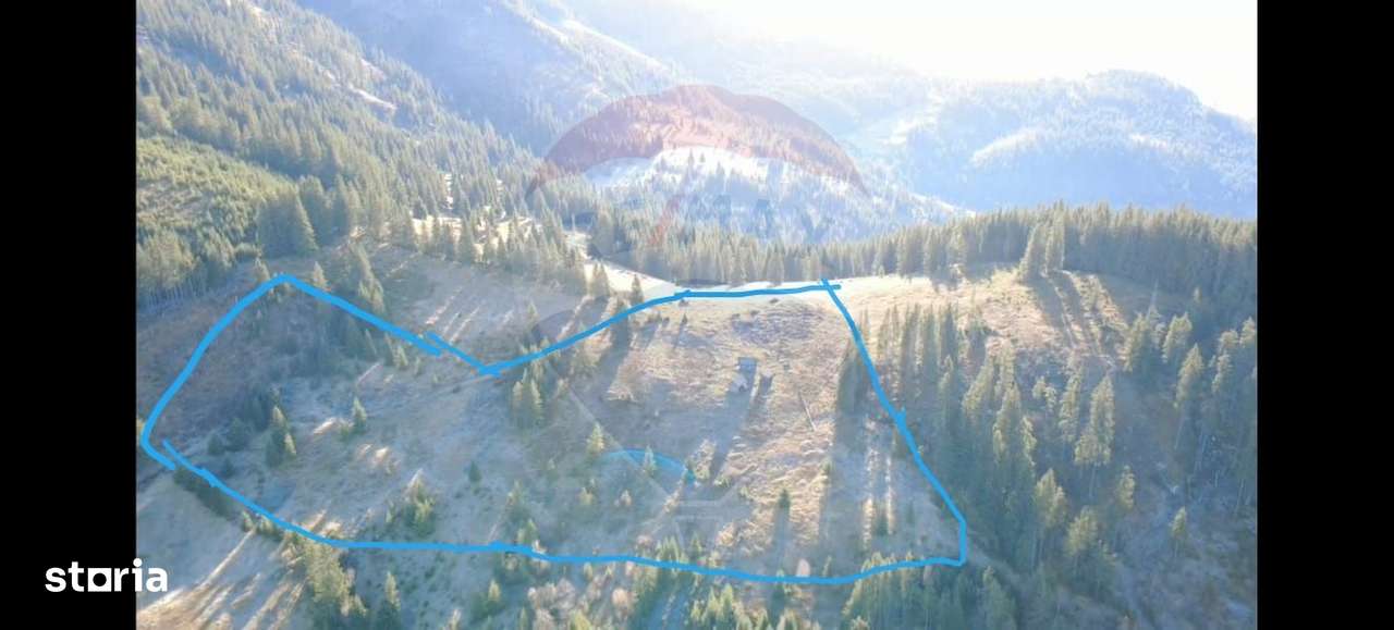 Teren 31,461mp Panaci / Prelungirea Ialovita-0