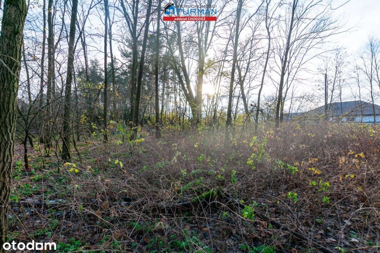 Działka, 879 m², Klotyldzin - Pełny obrazek: 5/5