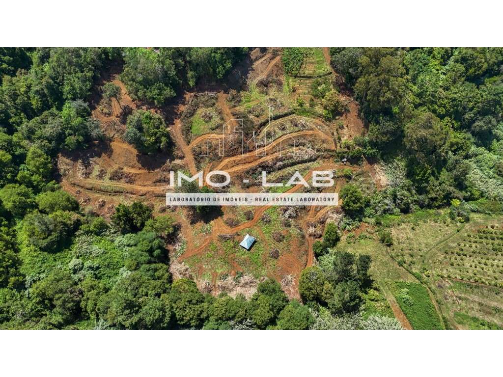 Terreno com 26.180m2 em Santana - Grande imagem: 4/15