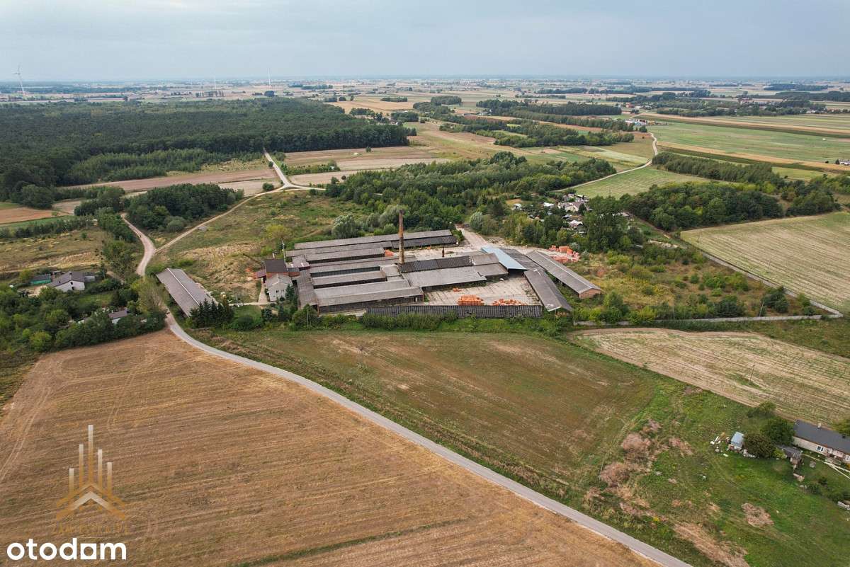 Teren inwestycyjny uzbrojony+budynki - pow. płocki - Pełny obrazek: 4/20