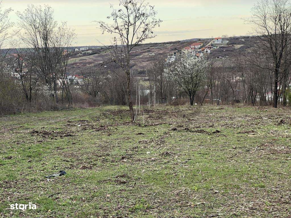 RECO, teren intravilan in Paleu - Imagine principală: 1/4