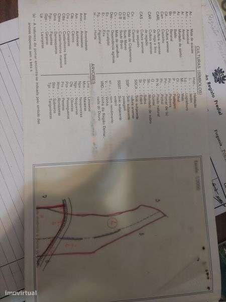 Terreno rural na Ponta Garça (Pico do Calvo) 1.13 ha - Grande imagem: 5/6