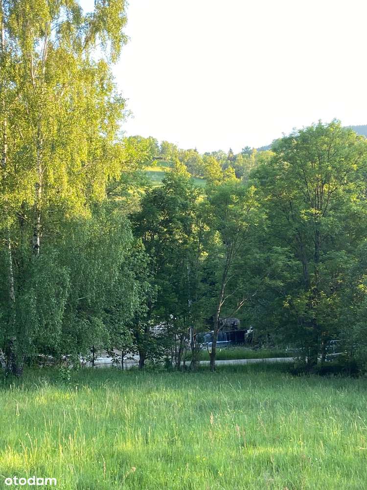 Działka budowlana 2003 m2, Stara Morawa, kłodzki, dolnośląskie, Sudety - Pełny obrazek: 4/4