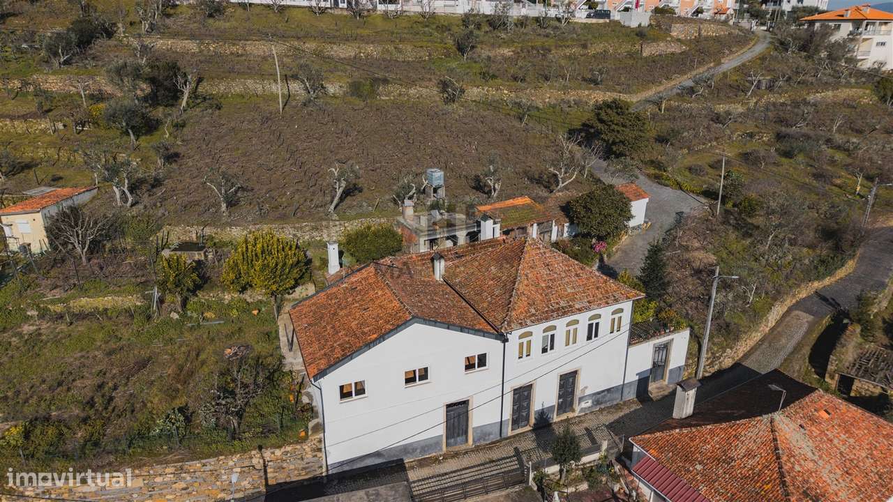 Oportunidade no Douro | Quinta com História | Lamego-9