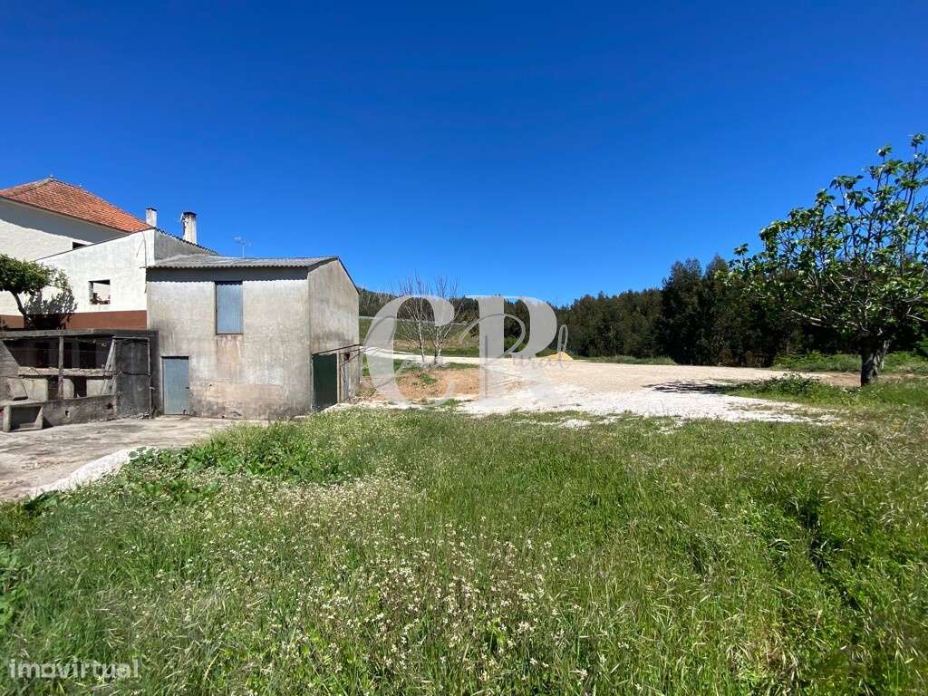 Terreno para arrendamento junto à N236-1 com anexos/garagens - Grande imagem: 4/15