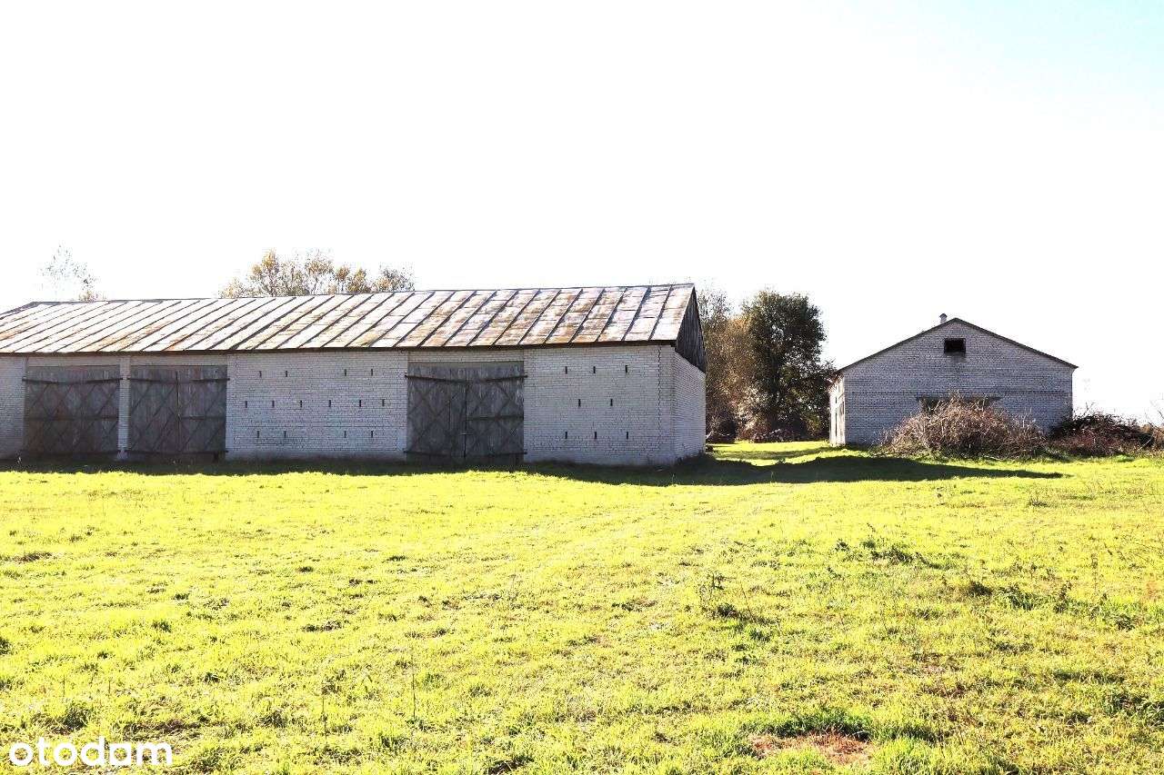 Siedlisko w Głuchowie na dużej działce - Pełny obrazek: 4/16