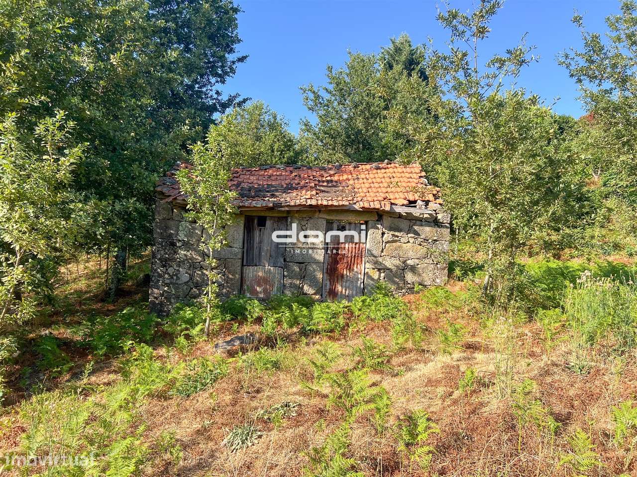 Ruína em Pedra com Terreno Urbano em Bordonhos – Potencial de Construç - Grande imagem: 5/5