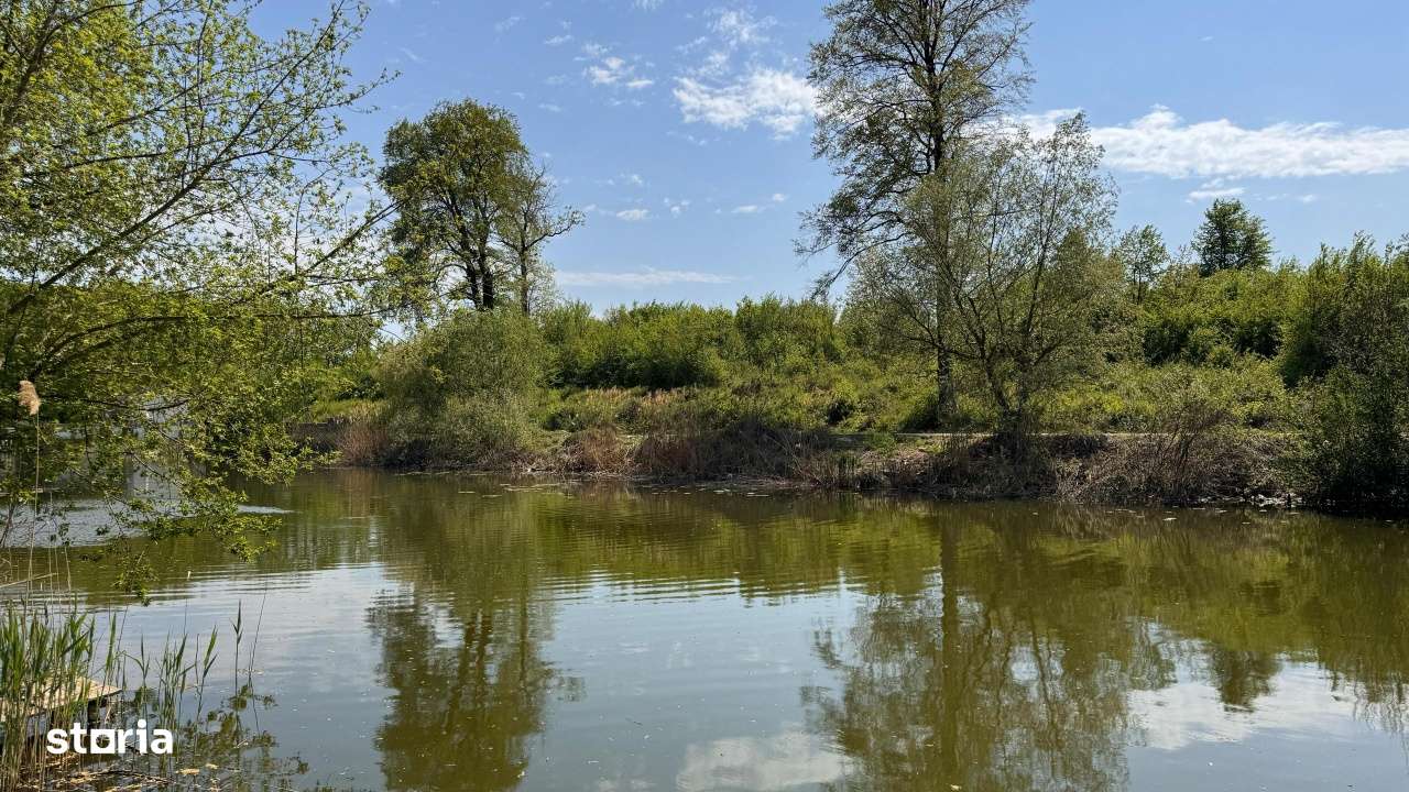 Teren Intravilan 15.840 mp Silistea Snagovului De Vanzare - Imagine principală: 4/6