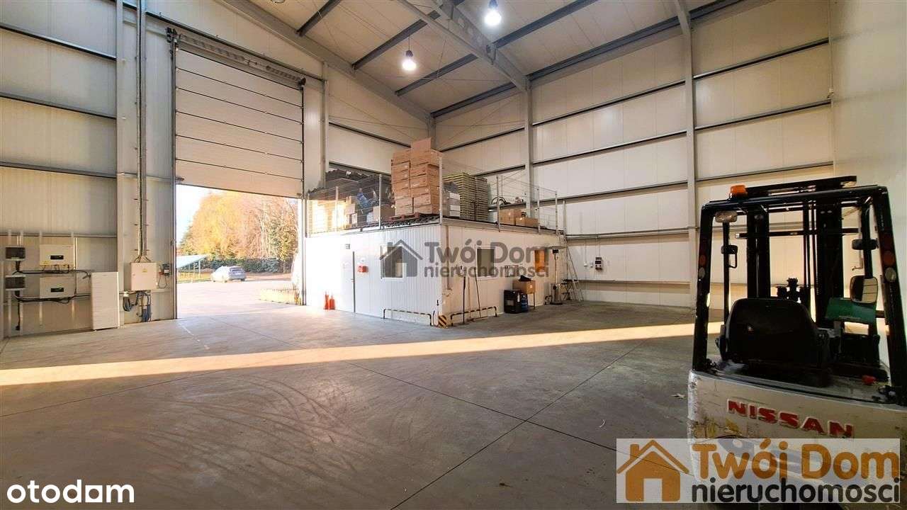 Hala 700 m2 z chłodniami przy Aow Mokronos Dolny - Pełny obrazek: 5/14