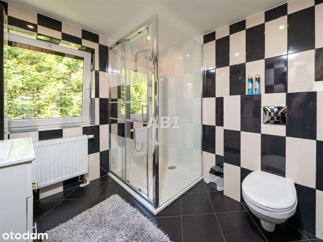 Pensjonat z dużą działką-10