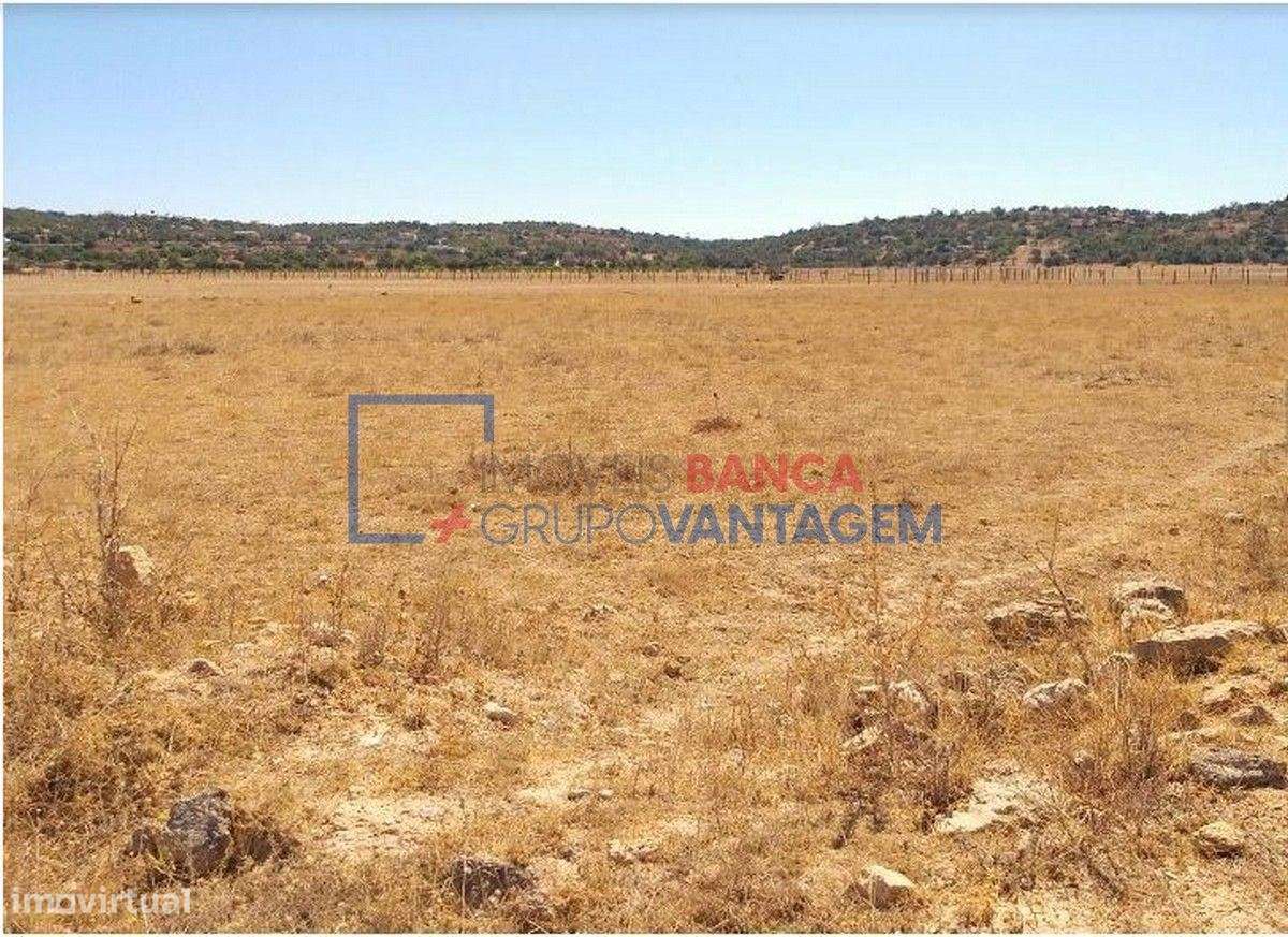 Terreno rústico com 8.980m² destinado a cultura arvense, situado em... - Grande imagem: 2/6