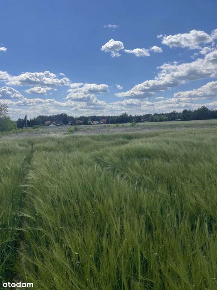 działka budowlana - Pełny obrazek: 5/12