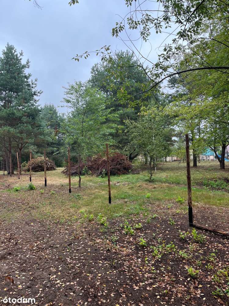 działka - Lipowo (gm. Wiązowna) - warunki zabudowy - Pełny obrazek: 4/8