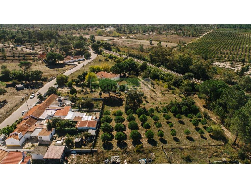 Moradia Térrea T4 em Quinta de 11.250 m² com Árvores de Fruto. Em S...-44