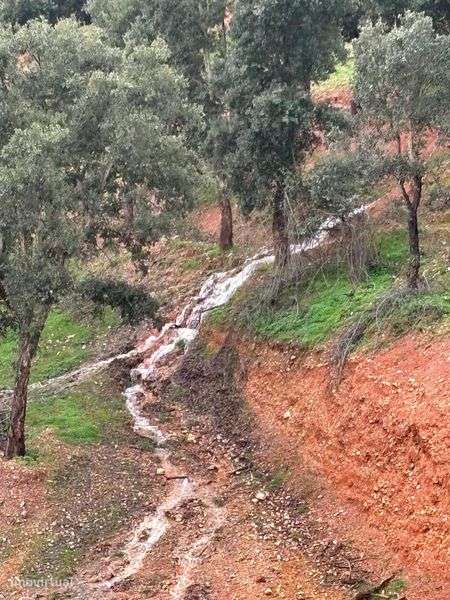 Vende-se propriedade - Grande imagem: 4/5