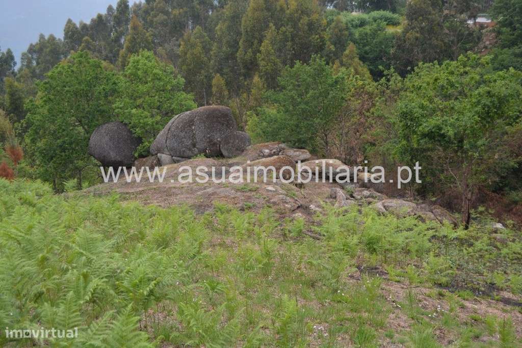 Terreno - Cerdeirinhas / Vieira do Minho - Grande imagem: 3/7
