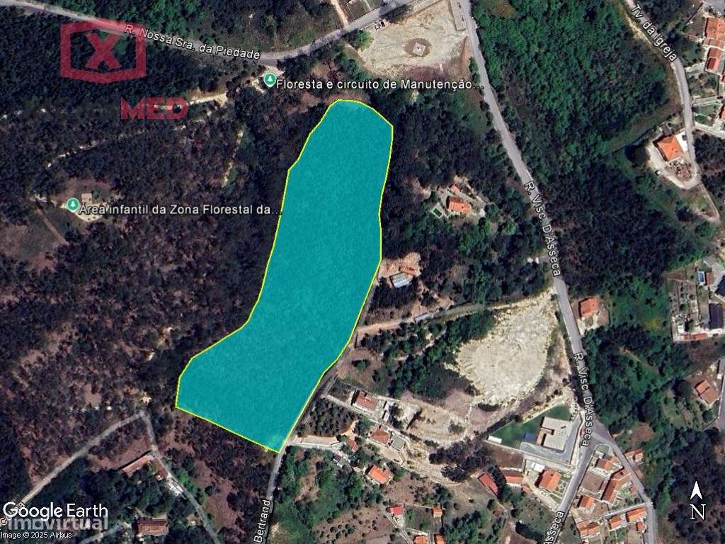 Vale de Lobos - Grande imagem: 3/16