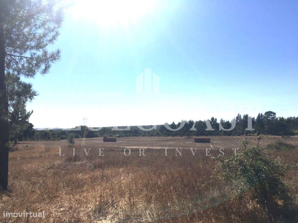 Herdade de 8.5 Hectares - Privacidade, Natureza e Potencial Único e... - Grande imagem: 5/14