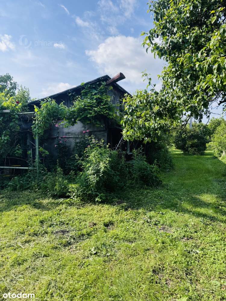 Sprzedam działkę 57 ar – Konin, Pawłówek - Pełny obrazek: 5/13