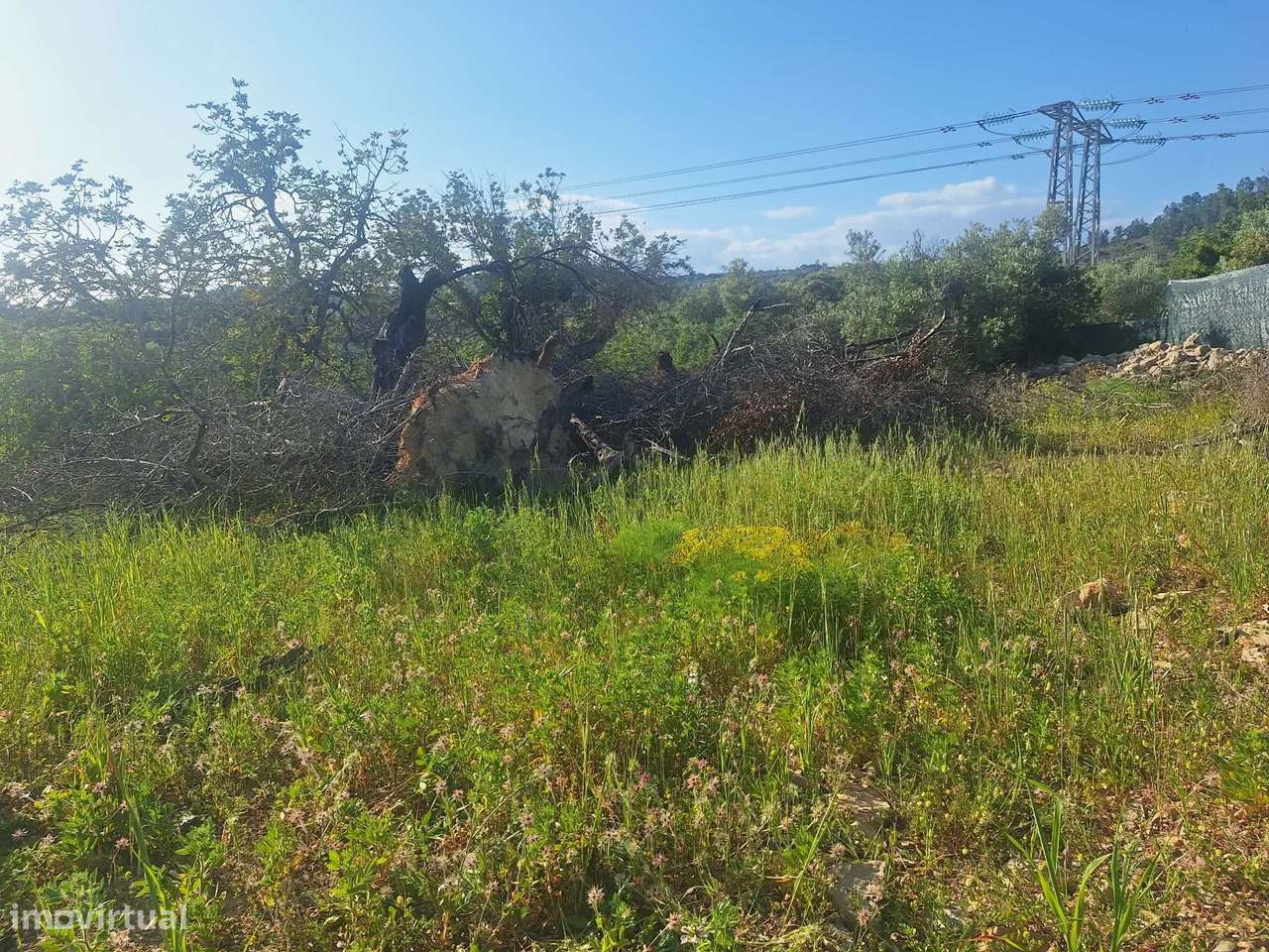 Terreno nos arredores de São Brás de Alportel-5