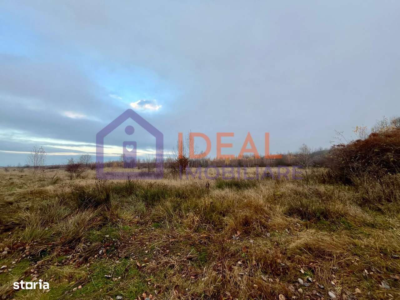 Teren extravilan 6.500 mp – două căi de acces, Cârțișoara-5