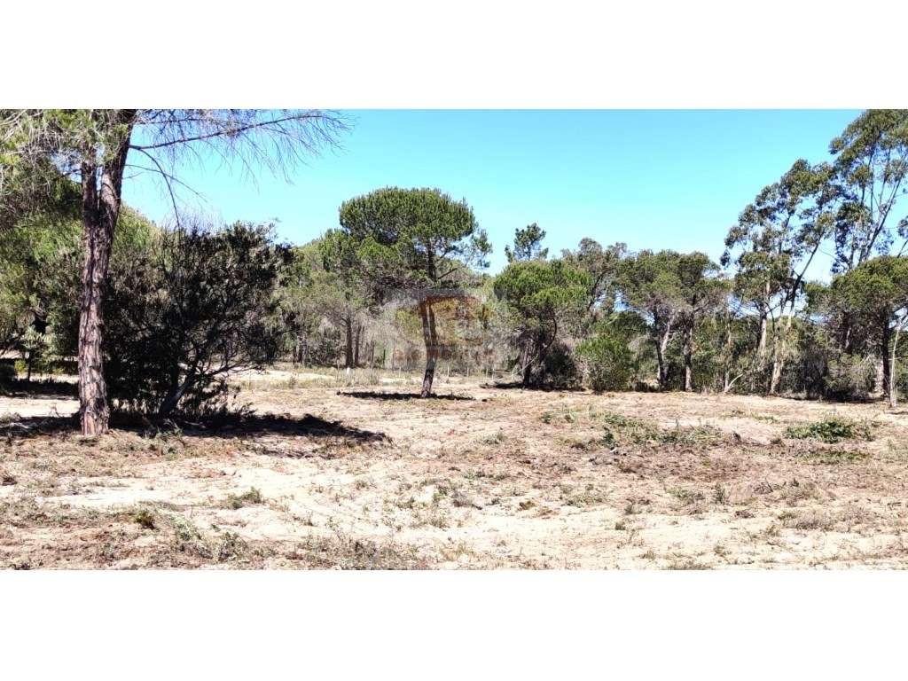 Casa de campo a 5 minutos da praia - Melides-10