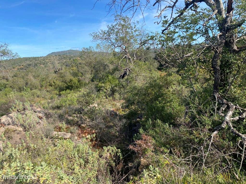 Lote de terreno rústico situado em zona muito tranquila, Boliqueime... - Grande imagem: 3/17