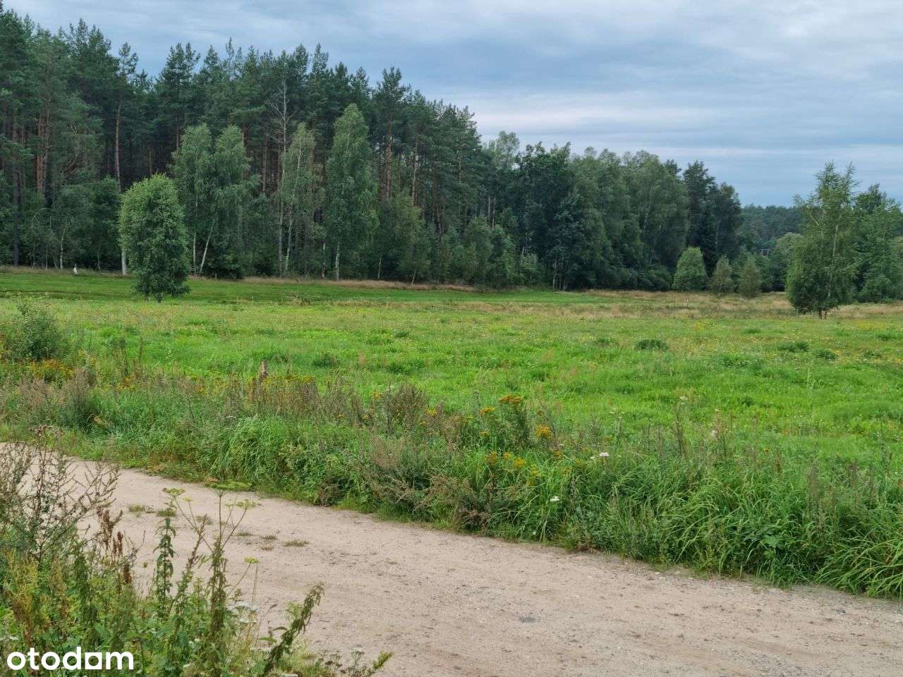 Wielka Piaśnica- budowlana z PNB. - Pełny obrazek: 4/13