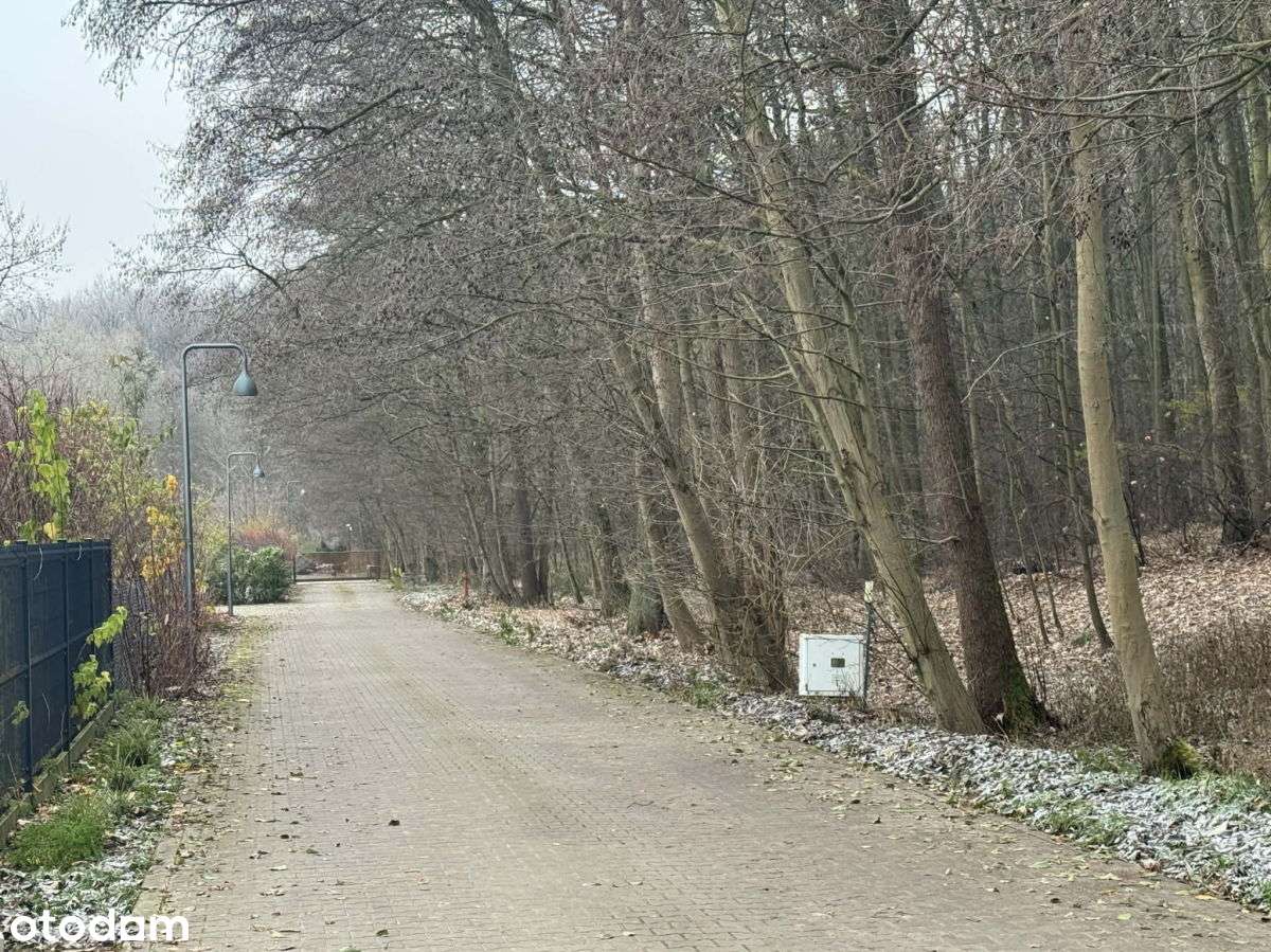 PoznaŃ, Strzeszyn, rezydencyjna, przy lesie-9