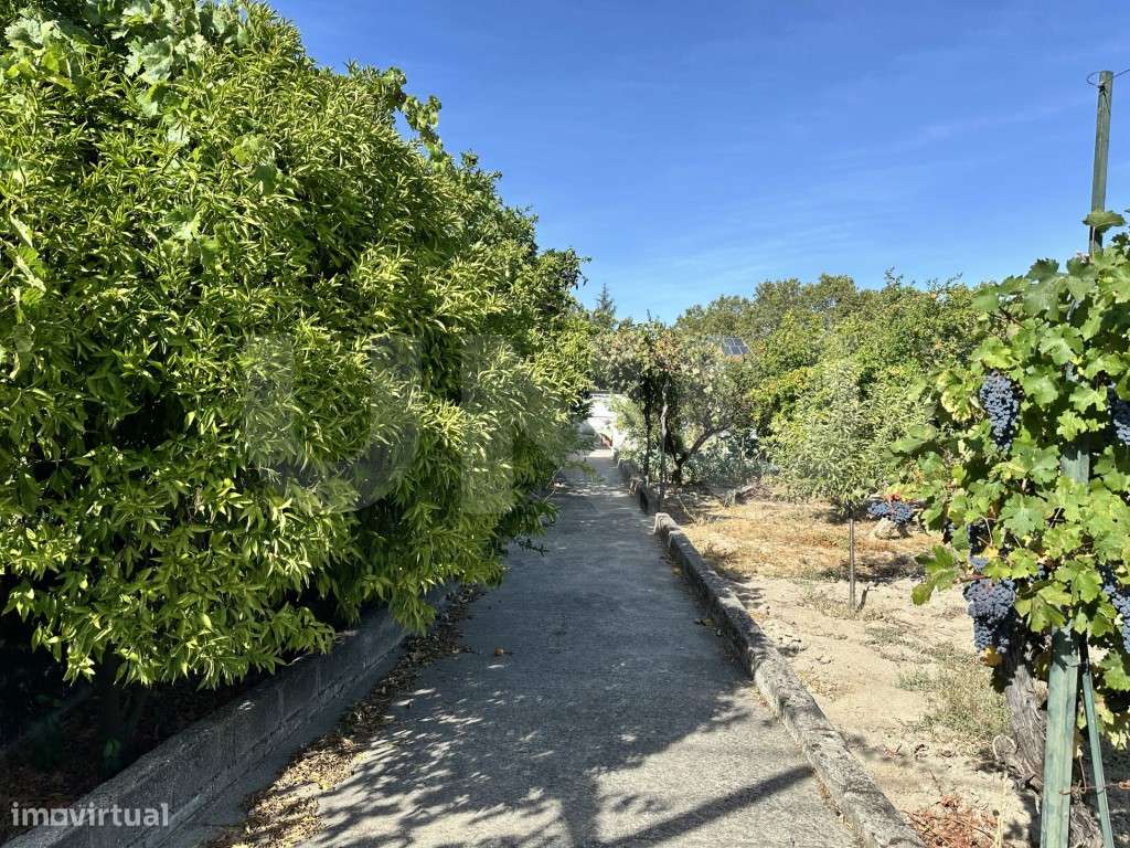 Moradia T3 com logradouro e anexo - Bairro do Espertim, Covilhã-51