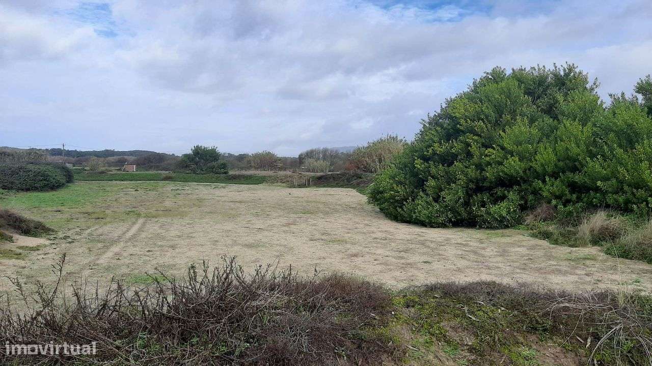 Terreno agrícola em Belinho - Grande imagem: 3/5