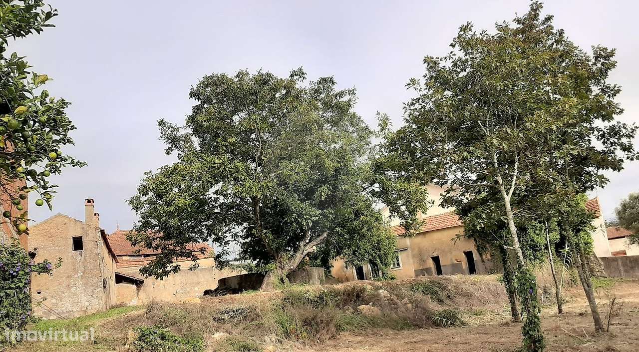 Terreno  para venda - Grande imagem: 4/15