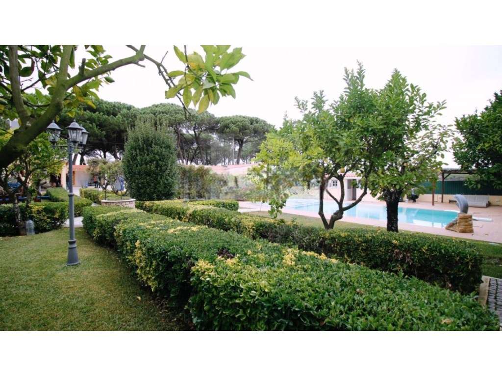 QUINTA COM MORADIA V3 - TERRUGEM, SINTRA - Grande imagem: 5/24