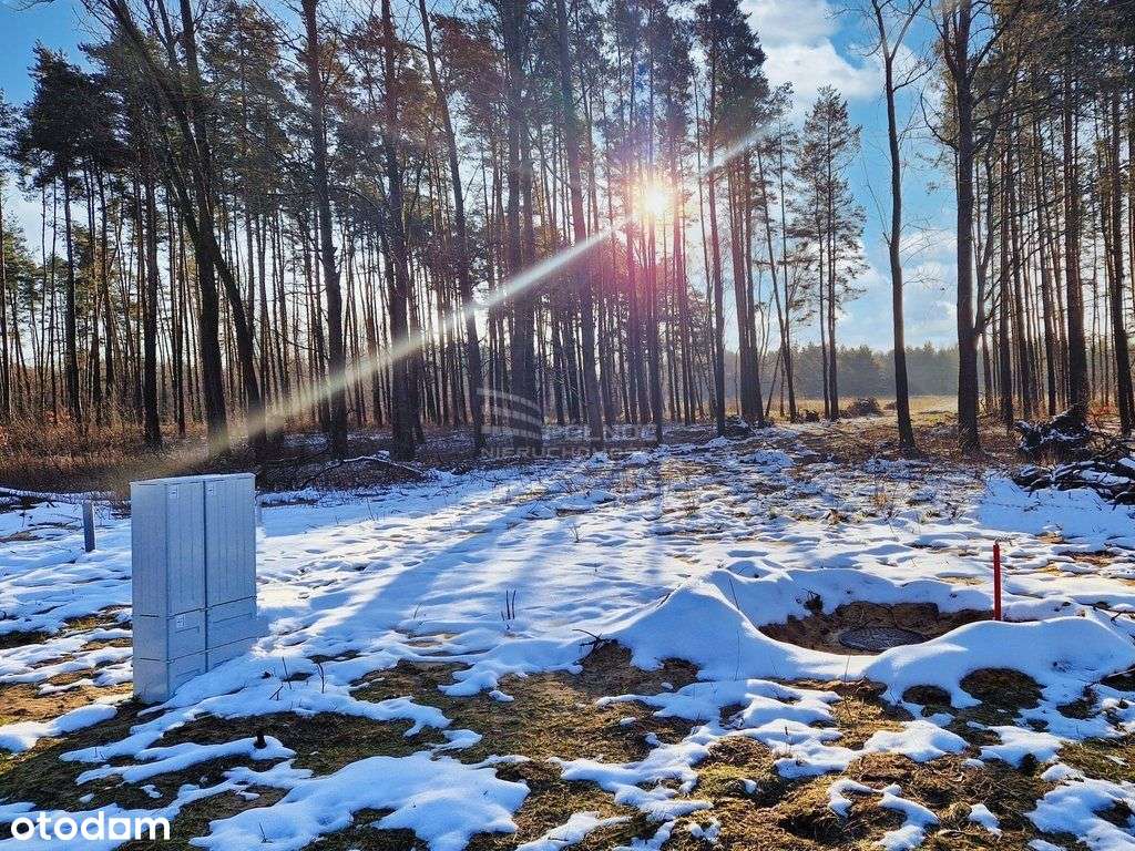 Działka Budowlana 912 m² – Woda, Prąd – Przybynów, - Pełny obrazek: 4/9