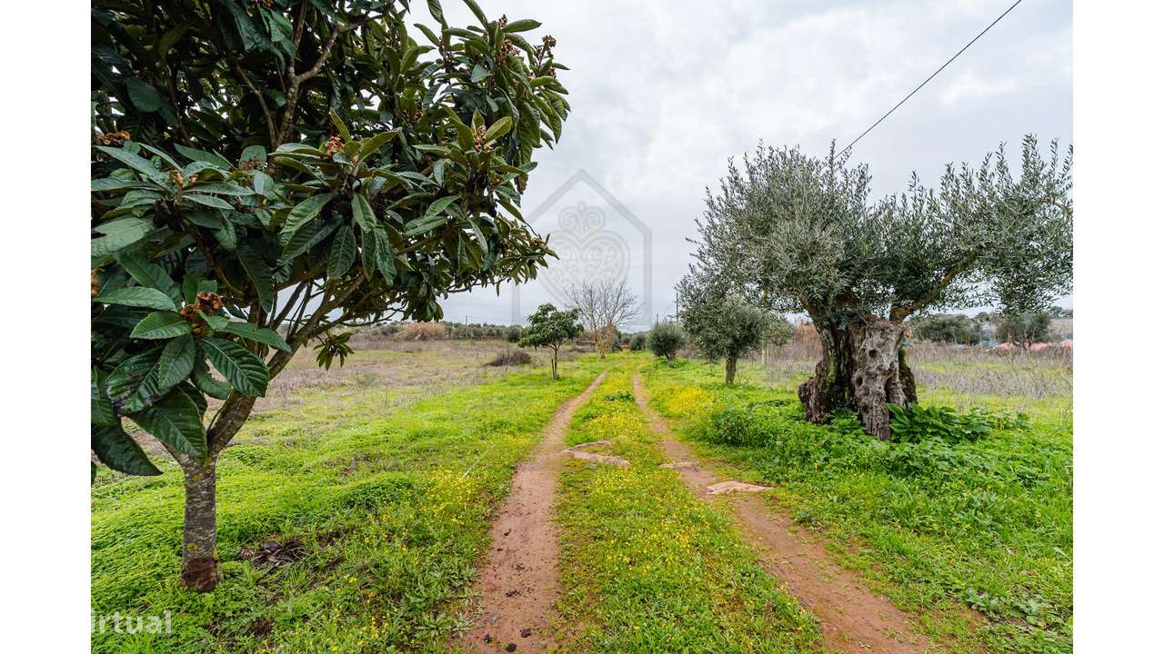 Herdade T3 em Vila Boim-43