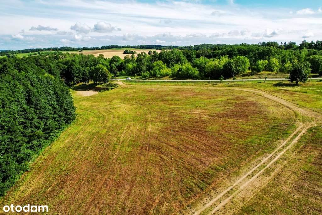 Działki z linią brzegową oraz z dostępem do jeziora Wierzbowskiego-7