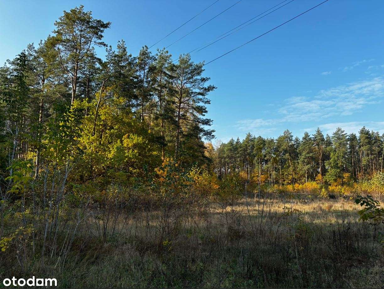 Działka rolno-leśna w centrum miejscowości Błędnica, 9,7142 ha-6