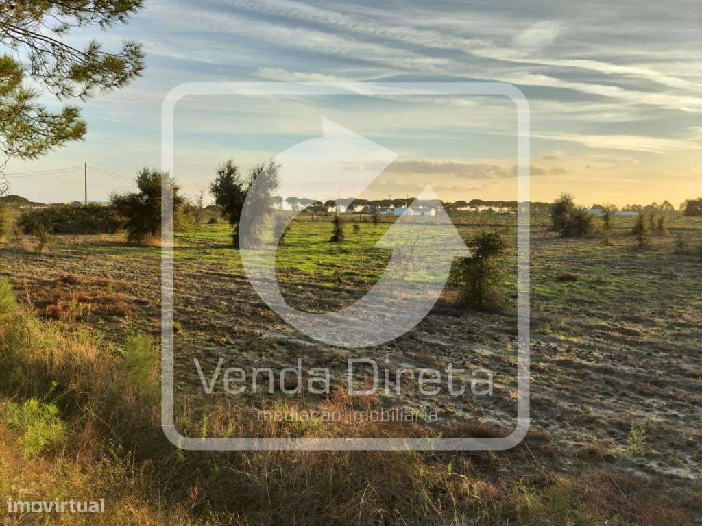 Terreno com 110.000 m2 junto à Nacional 10 - Com Armazém, Furo Lice...-17
