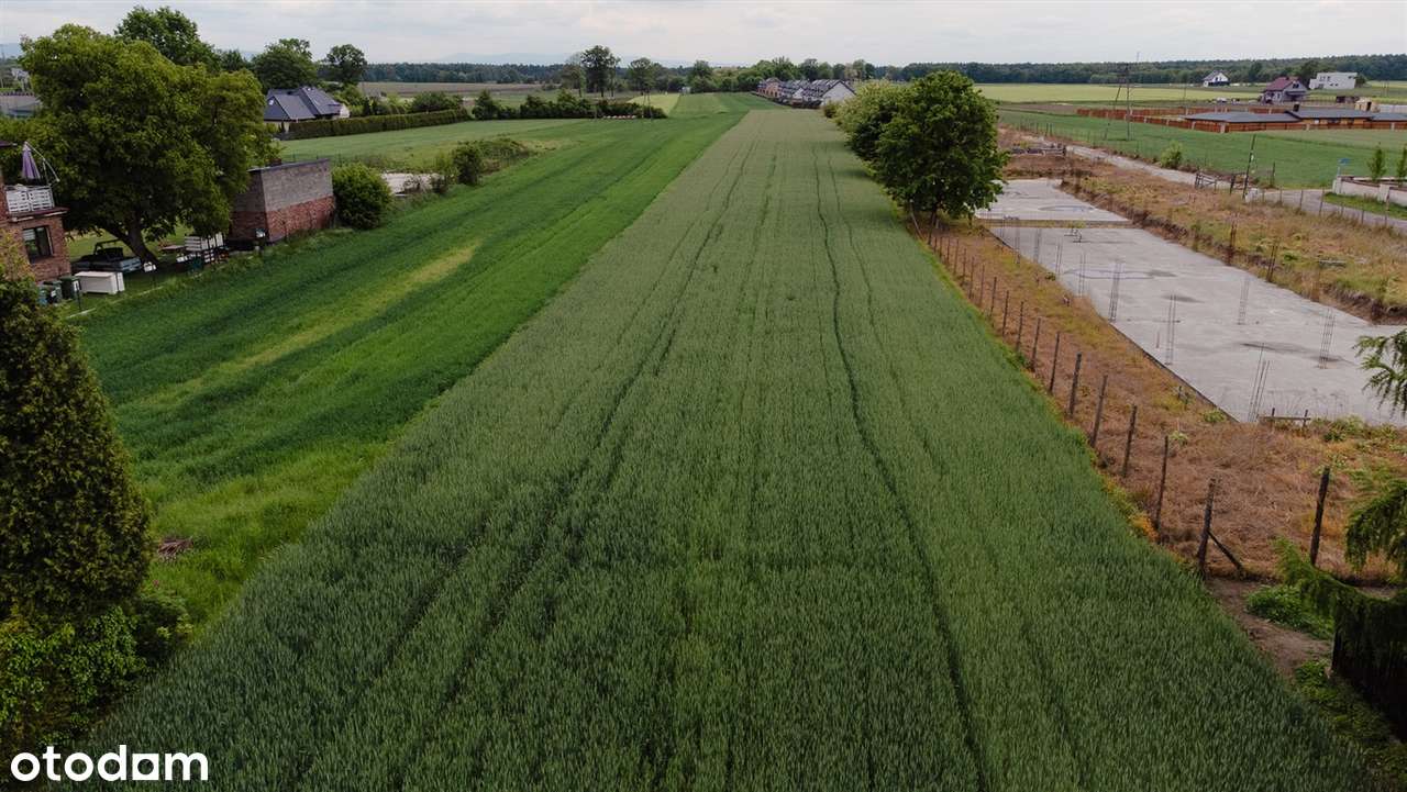 Działka usługowa 800m² Bojszowy. Pod sklep, gabinety, własna droga!-8
