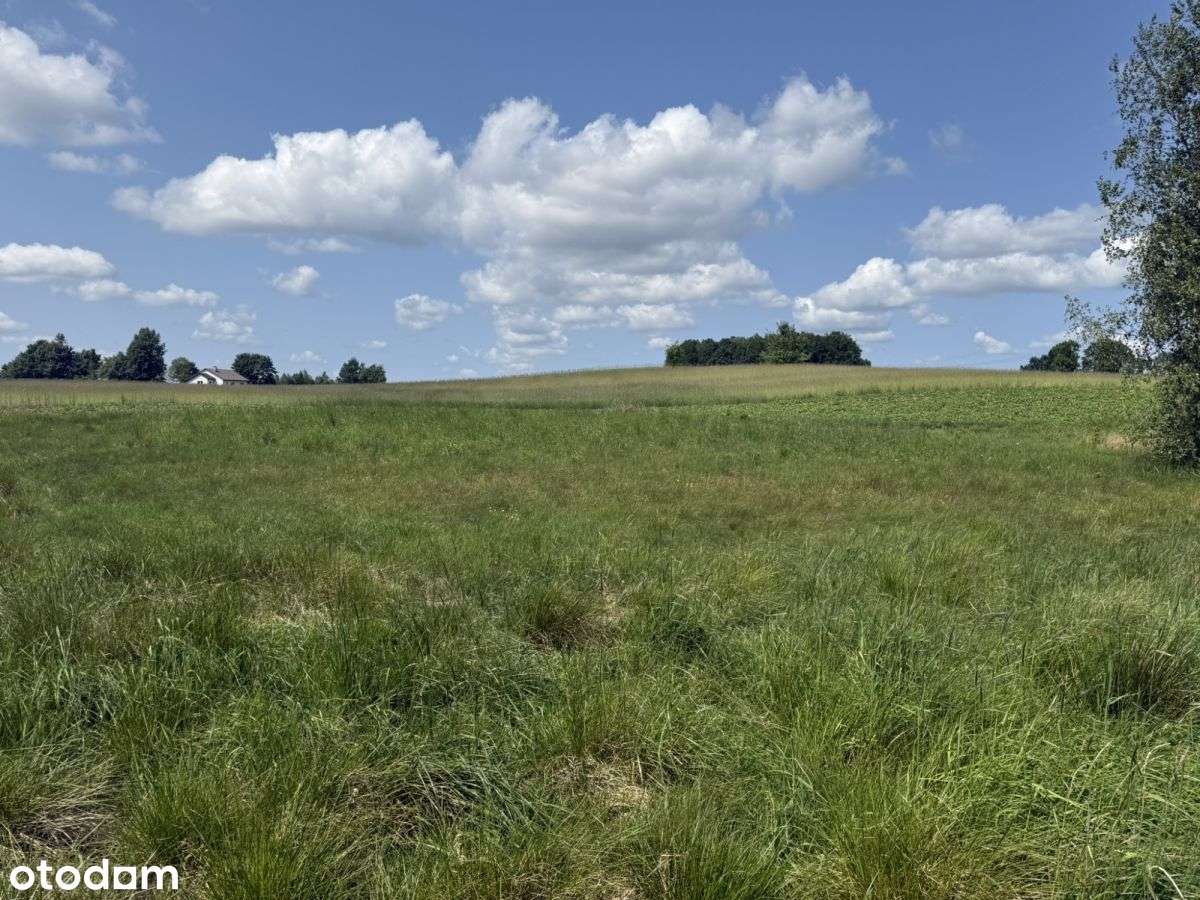 2 działki w świetnej cenie!! Blisko jeziora !-9