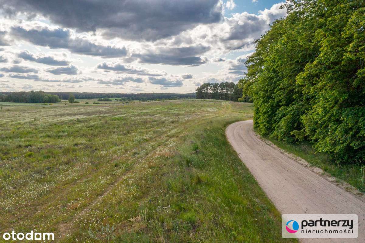 Atrakcyjne działki w Borach Tucholskich - Pełny obrazek: 5/20