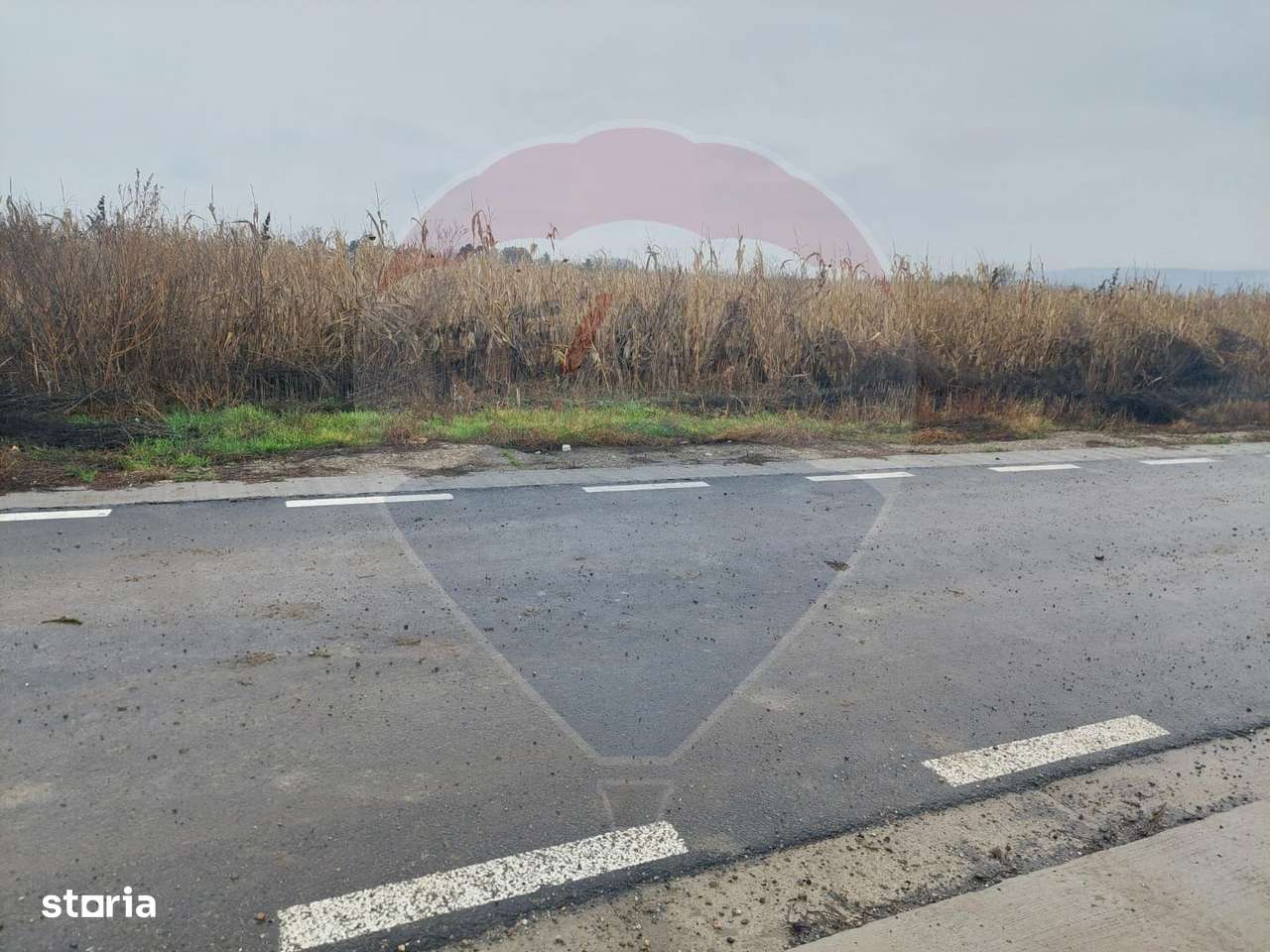 Teren intravilan de vanzare – Nicolae Balcescu, jud. Bacau - Imagine principală: 4/7