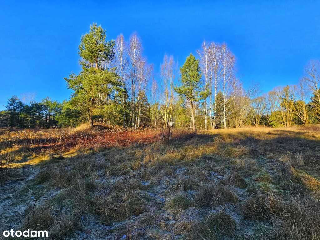 Działka w Doliwiu-6