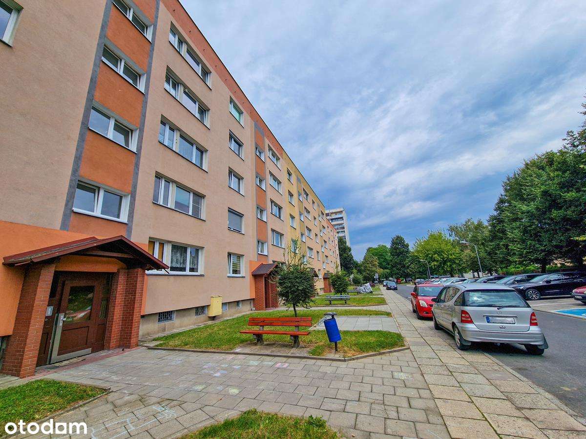 Żyje się tu... wygodnie!-8