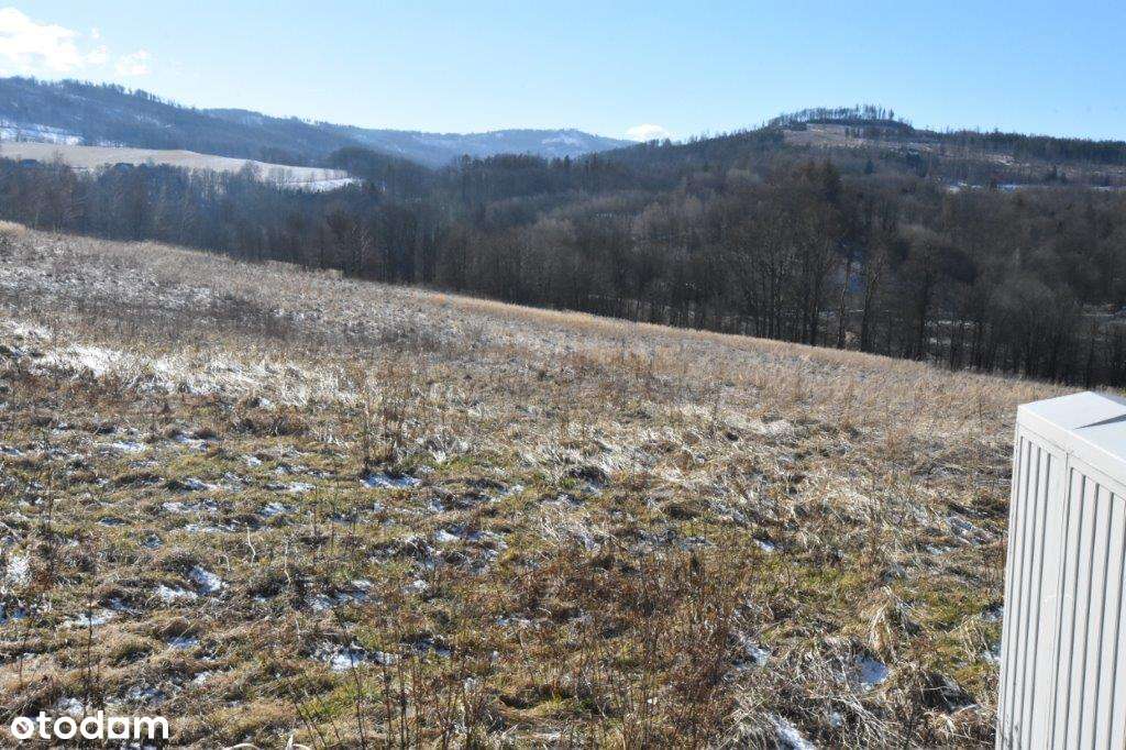 Działki budowlane - Podlesie - Pełny obrazek: 5/9