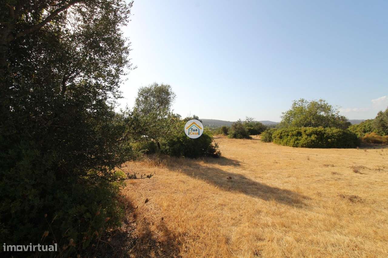 Magnifico Terreno na Foupana (Moncarapacho) excelente investimento - Grande imagem: 4/58